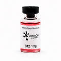 B12 1mg